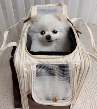 갤러리 이미지
