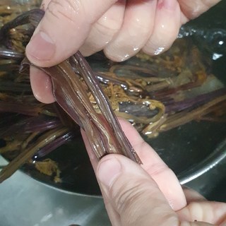 갤러리 이미지