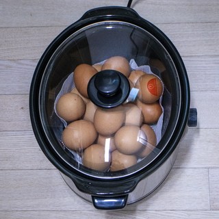 갤러리 이미지
