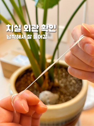 갤러리 이미지