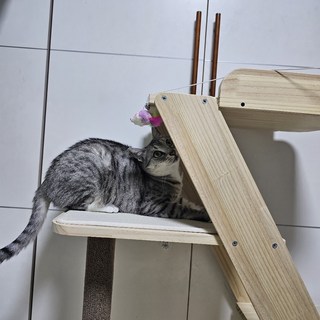 갤러리 이미지