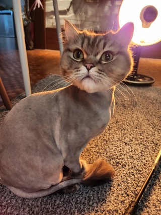 갤러리 이미지
