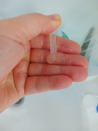 갤러리 이미지
