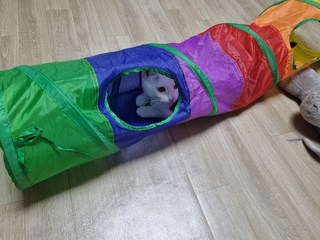 갤러리 이미지