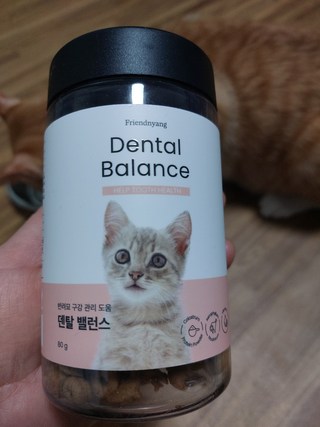 갤러리 이미지