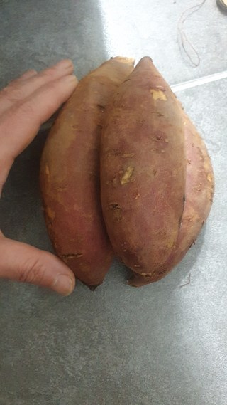 갤러리 이미지