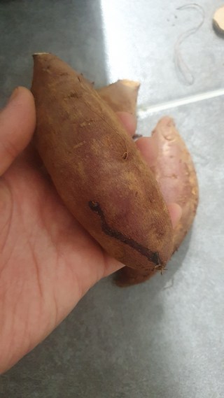갤러리 이미지
