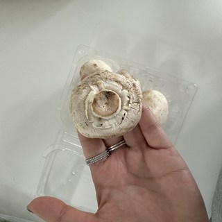 갤러리 이미지