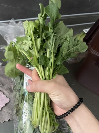 갤러리 이미지