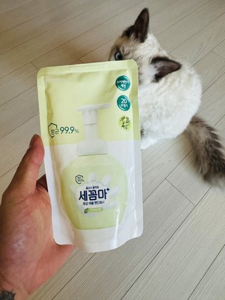 갤러리 이미지