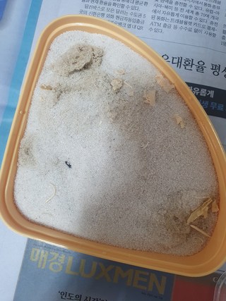 갤러리 이미지