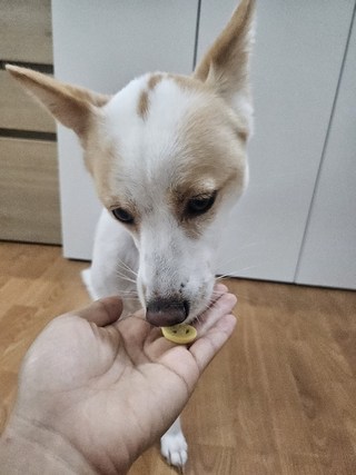 갤러리 이미지