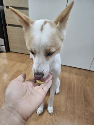 갤러리 이미지