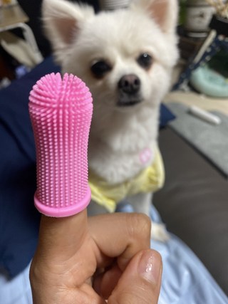 갤러리 이미지