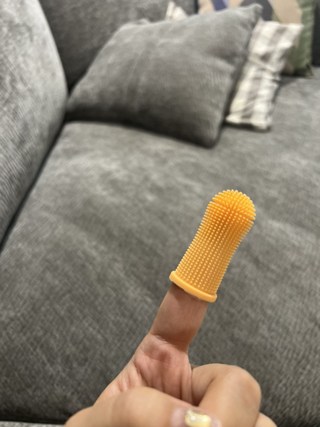 갤러리 이미지