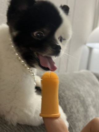 갤러리 이미지