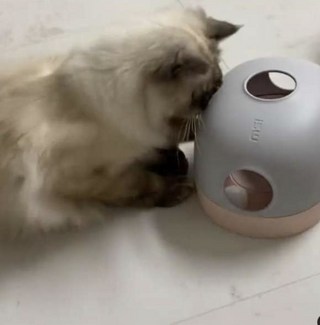 갤러리 이미지