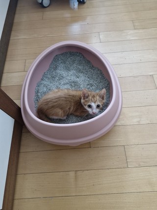 갤러리 이미지