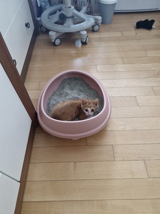 갤러리 이미지