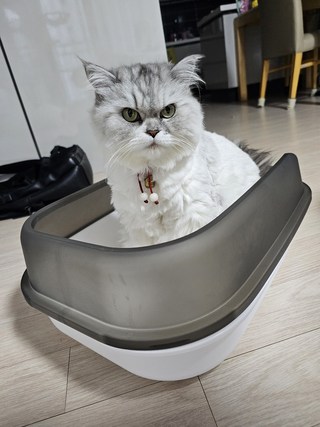 갤러리 이미지