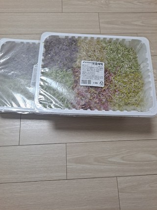 갤러리 이미지