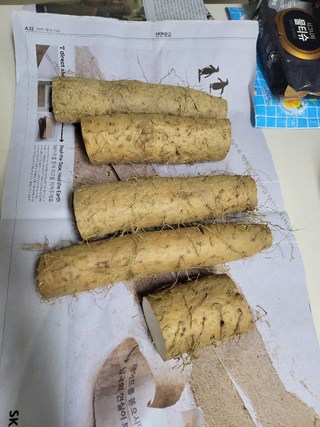 갤러리 이미지