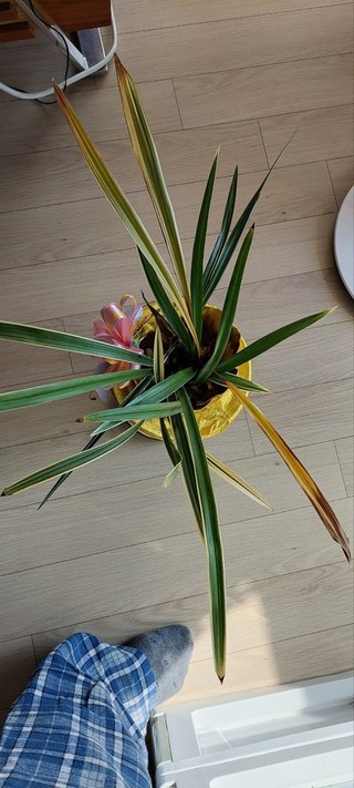 갤러리 이미지