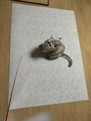 갤러리 이미지