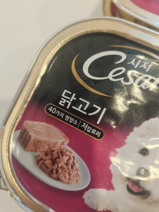 갤러리 이미지