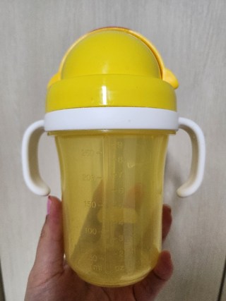 갤러리 이미지