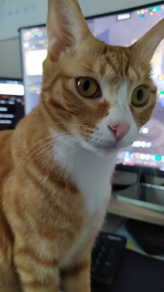 갤러리 이미지