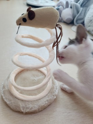 갤러리 이미지