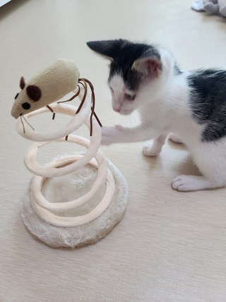 갤러리 이미지