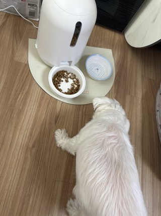 갤러리 이미지
