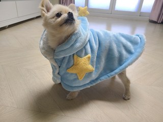 갤러리 이미지