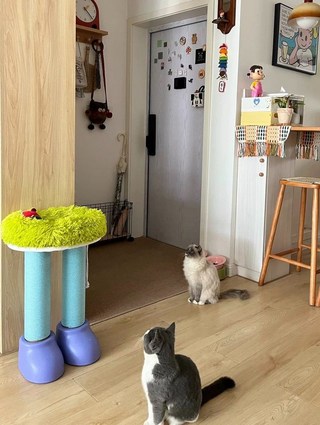 갤러리 이미지