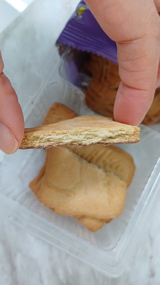 갤러리 이미지