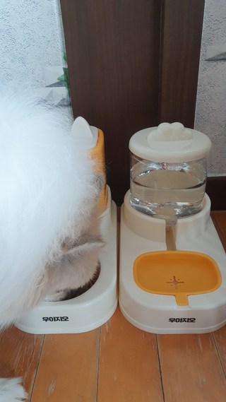 갤러리 이미지