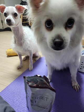 갤러리 이미지