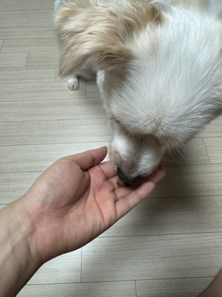갤러리 이미지