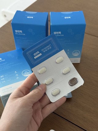 갤러리 이미지