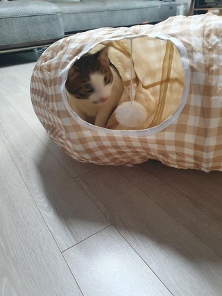 갤러리 이미지