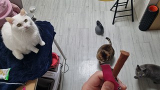 갤러리 이미지