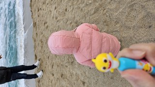 갤러리 이미지
