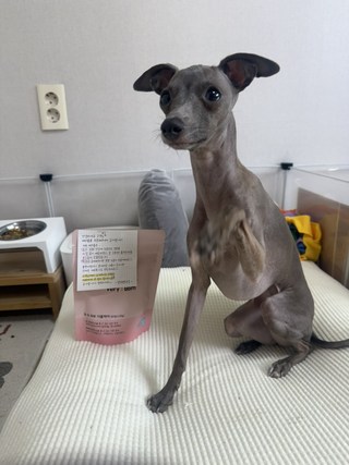갤러리 이미지