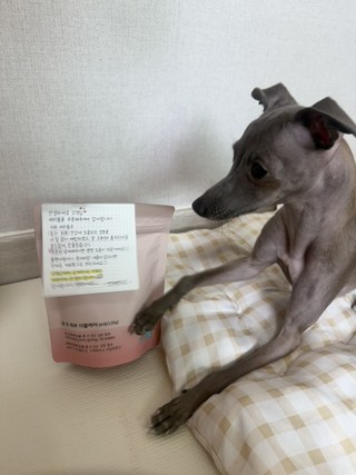 갤러리 이미지