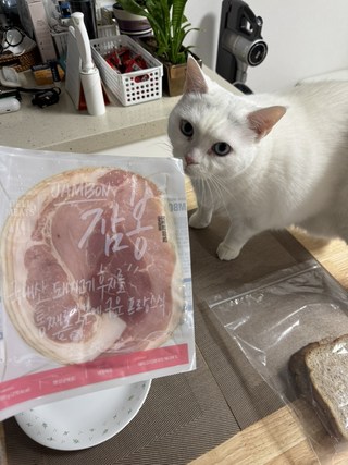갤러리 이미지