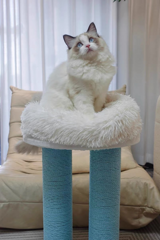 갤러리 이미지