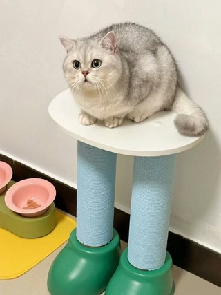 갤러리 이미지