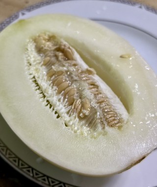 갤러리 이미지